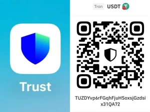 USDT Payment 2